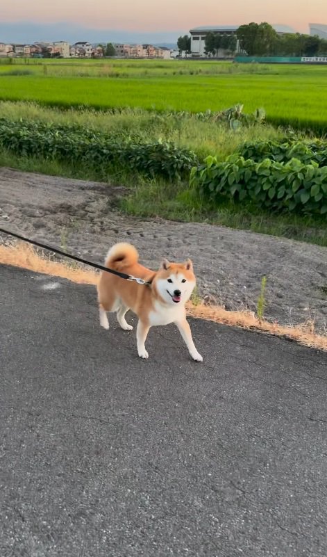 富士ちゃんが気付いた！