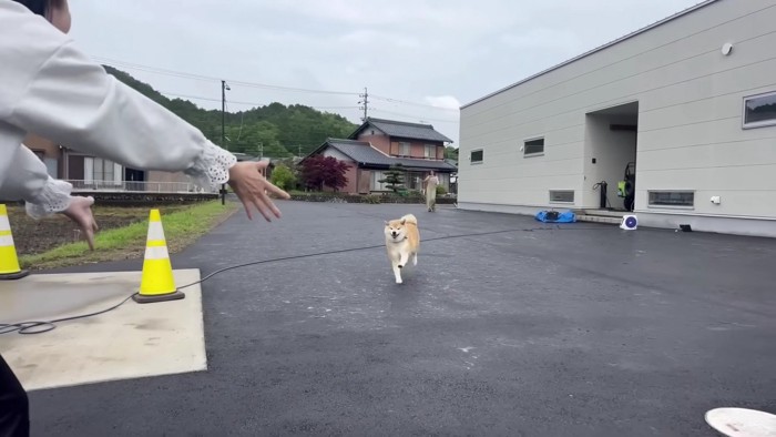 全力疾走でおばあちゃんの元へ！