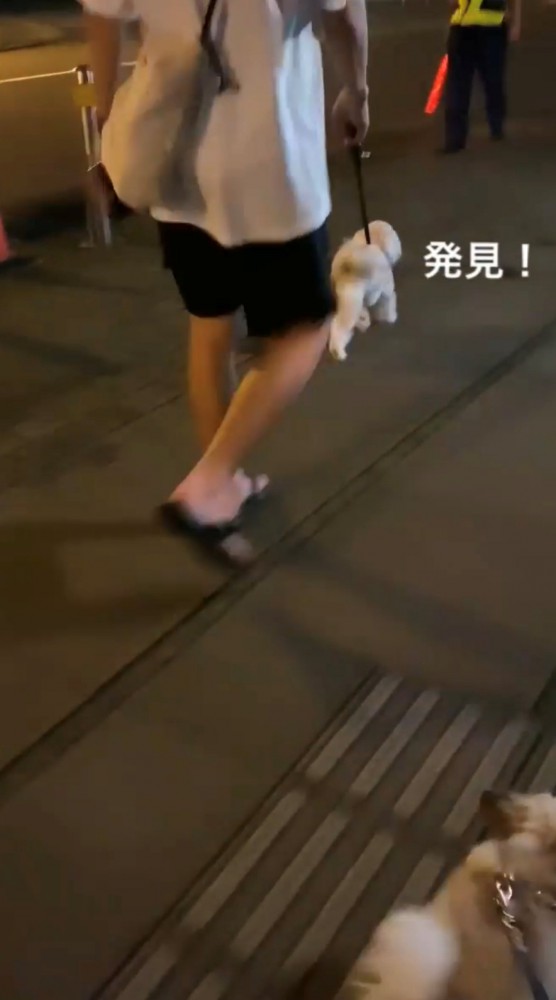 歩道を歩く犬と視線の先に立つ警備員