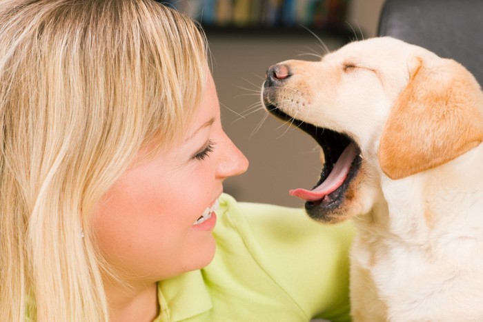 あくびする犬と女性