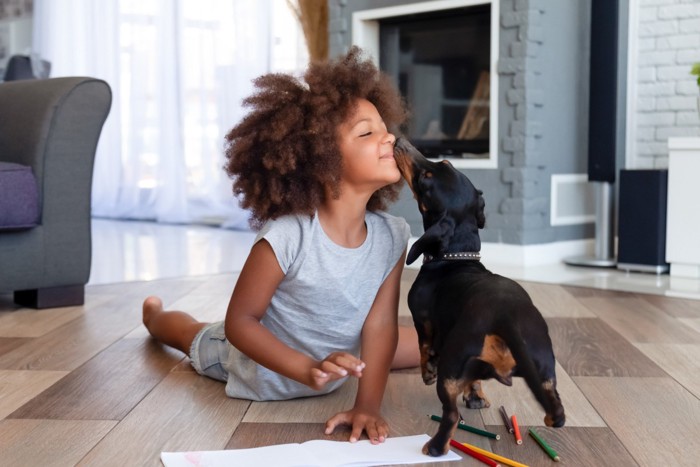 子供と遊ぶ犬