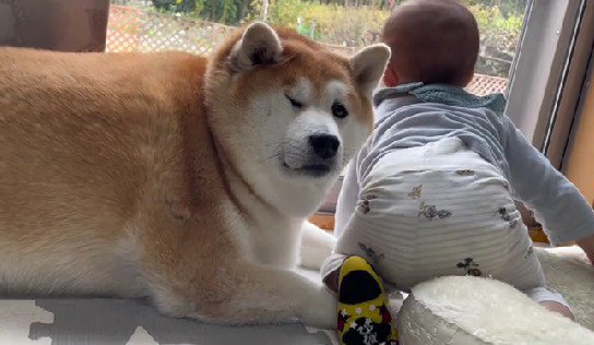 顔がぎゅってなってる！