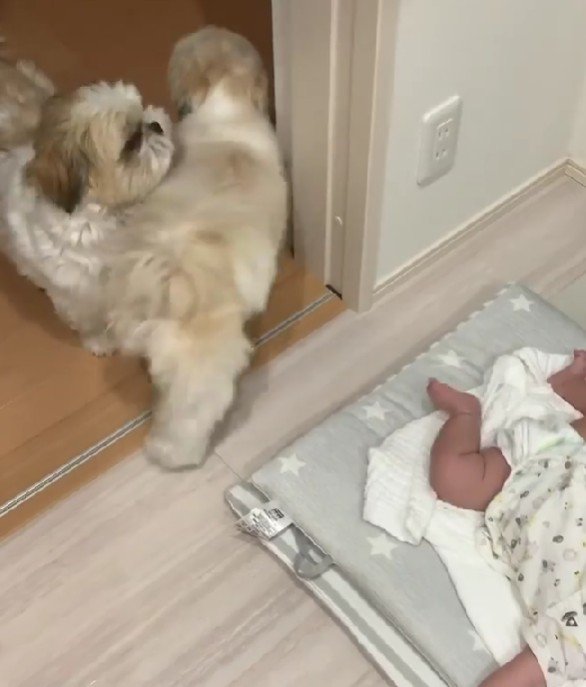 泣きがひどくなり…