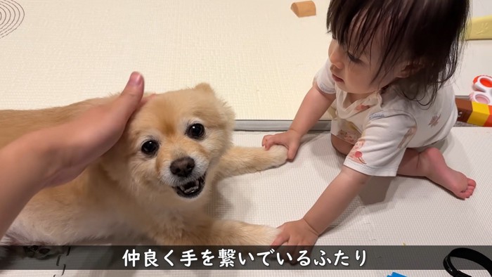 仲良しで尊い♡