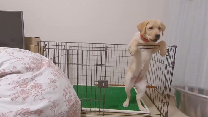 ごはんを持ってきたら…