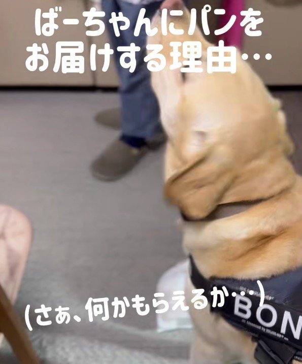 「配達完了！」