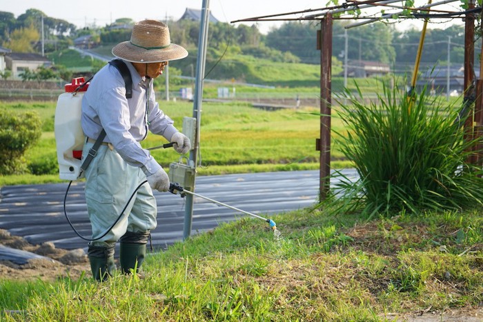 草に除草剤を撒くおじいさん