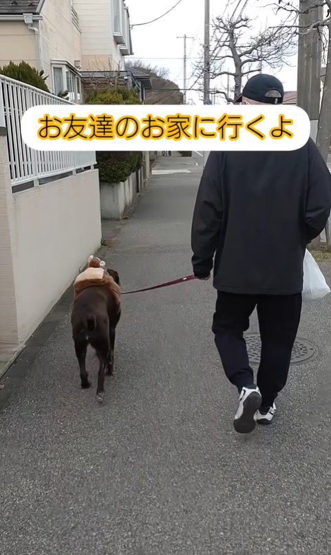 お友達の家に行くあんちゃん