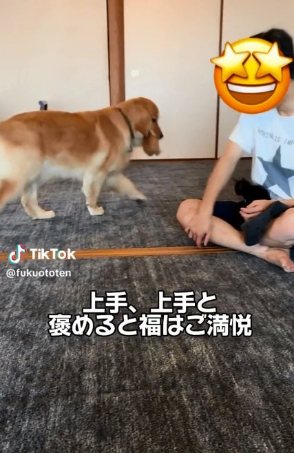 歩き回る福ちゃん