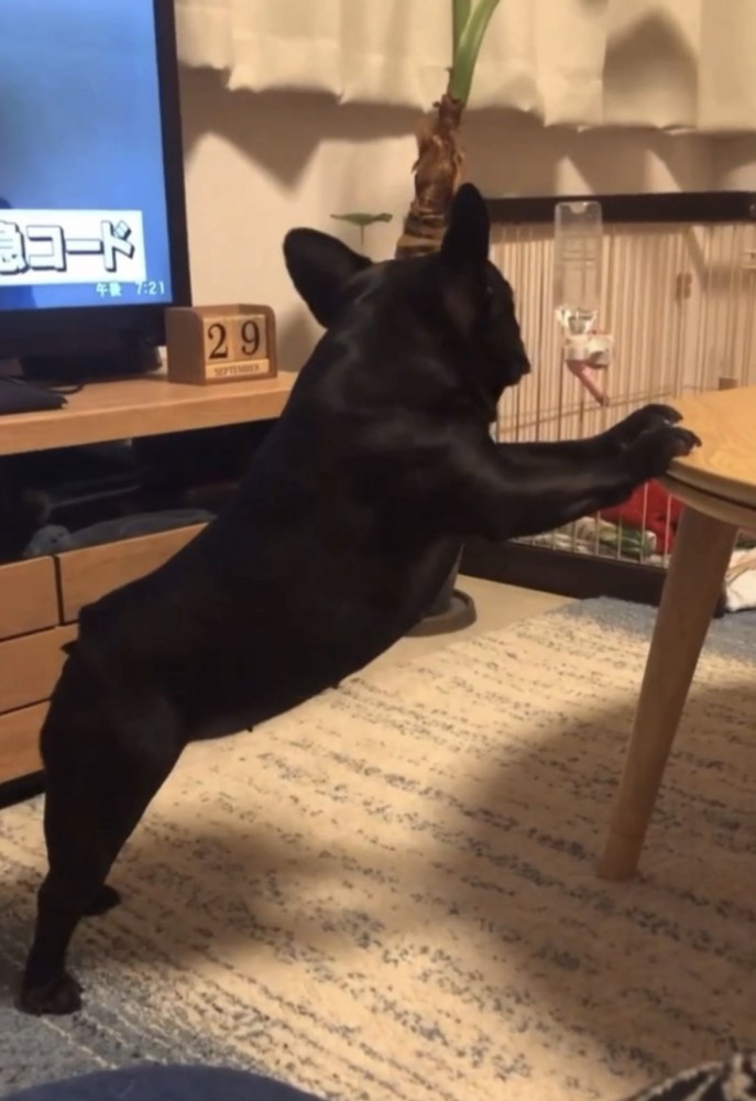 ストレッチ5