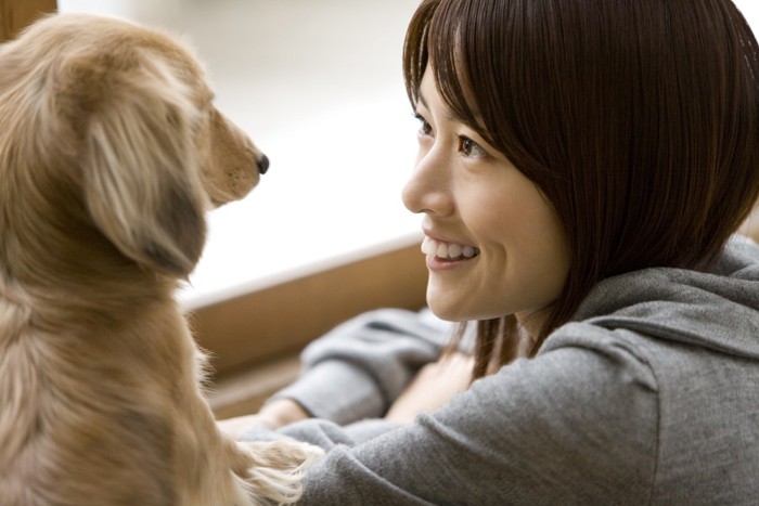 女性と見つめ合う犬