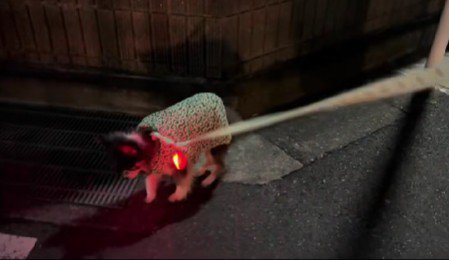 ゆっくりと確実に歩む派♡