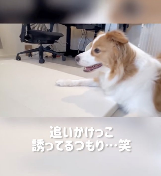 仲良くなれたかな？