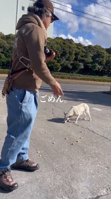 犬のそばにおやつを撒く男性