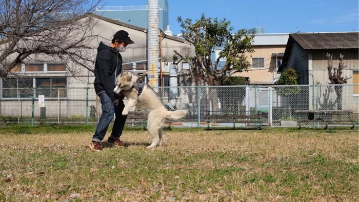 パパと戯れる犬