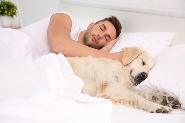 ベッドで一緒に眠る男性と犬