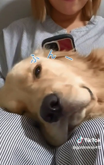 ため息をつく麹くん