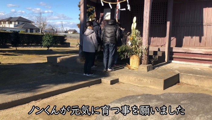 神社でお参りする様子