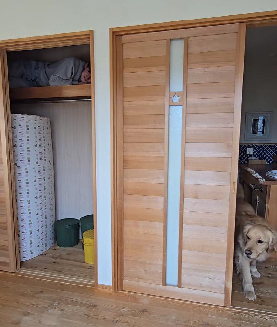 押し入れの上段に隠れる