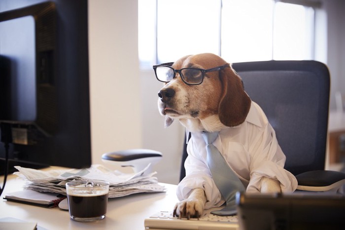 パソコンを使って仕事をしている眼鏡をかけた犬