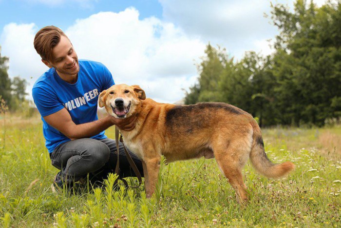 ボランティアの男性に撫でられる犬