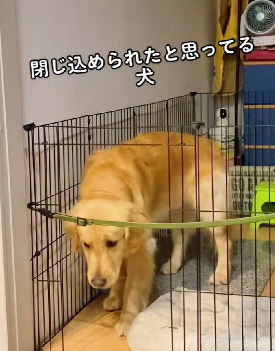 「出ちゃダメってことだよね…？」