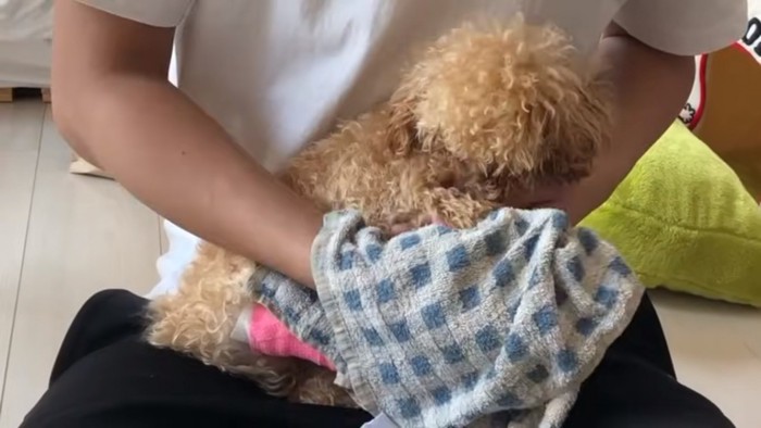 モコちゃんの体をふく飼い主さん
