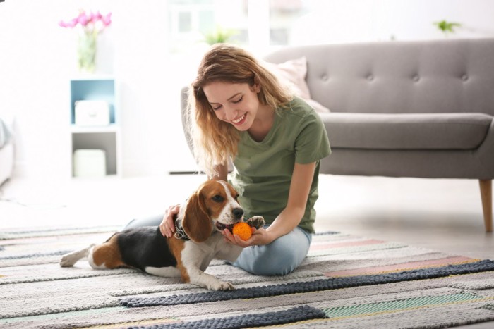 今で持って来い遊びをする犬と女性