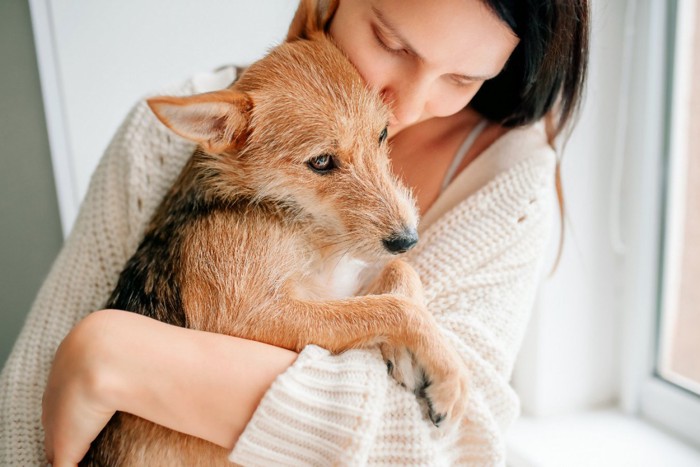 甘える犬