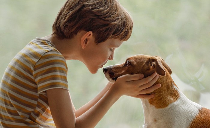 犬の顔を両手で包む子供