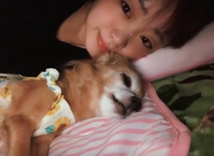 犬と添い寝