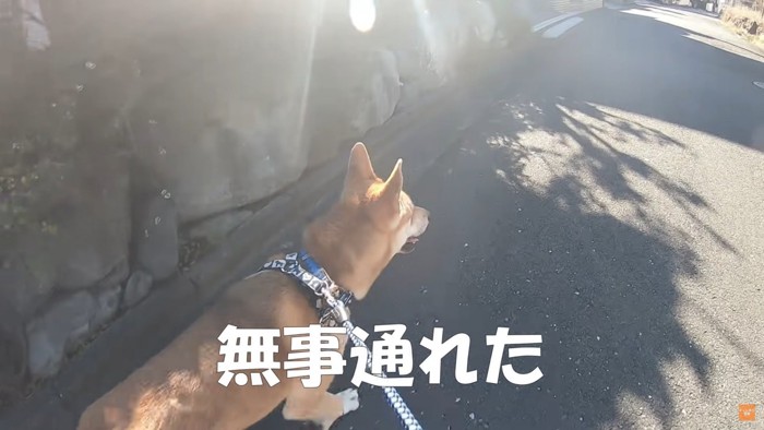 人も車も怖くない！！