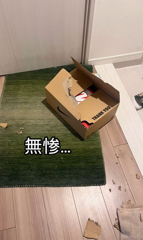 豪快に荷物を開けるけいちゃん⑩