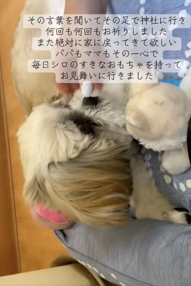 絶対に帰ってきてほしい！