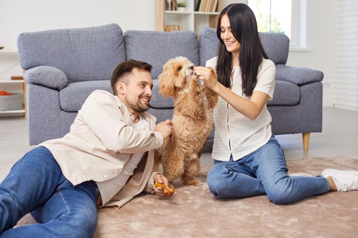 犬と触れ合う男女
