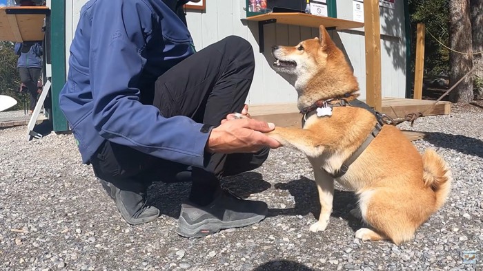 ナラちゃんと店員さん2