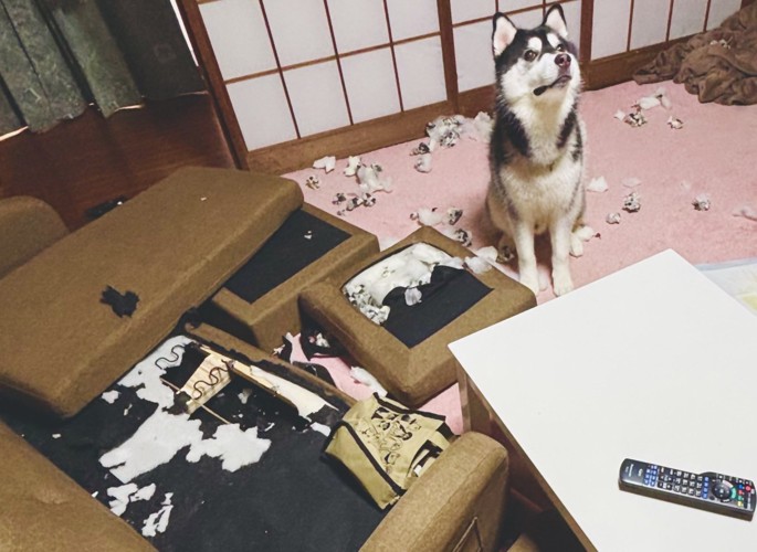 まさかの惨状