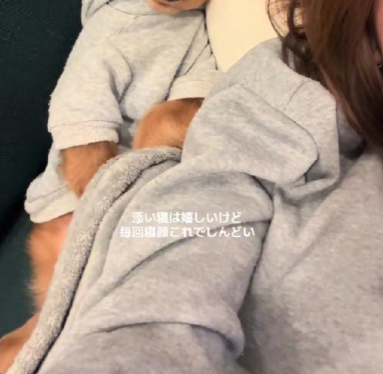 愛犬が添い寝にきて…