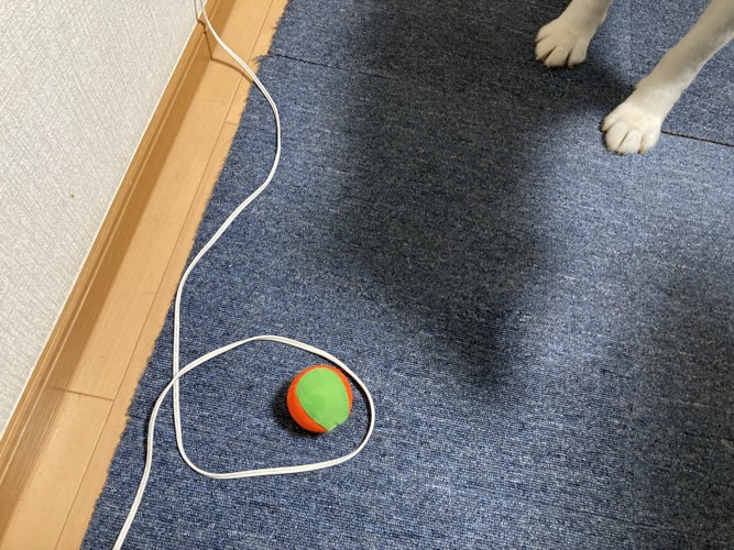 なんて愛おしい光景…