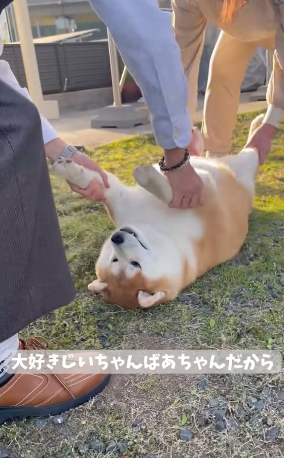 参戦するおじいちゃん