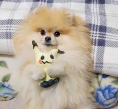 あざとすぎる
