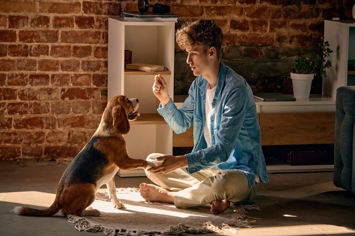 男性と犬