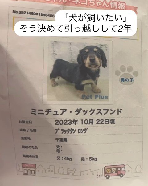 売れずに残っていた犬