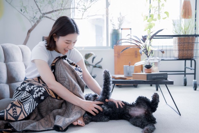 甘える犬
