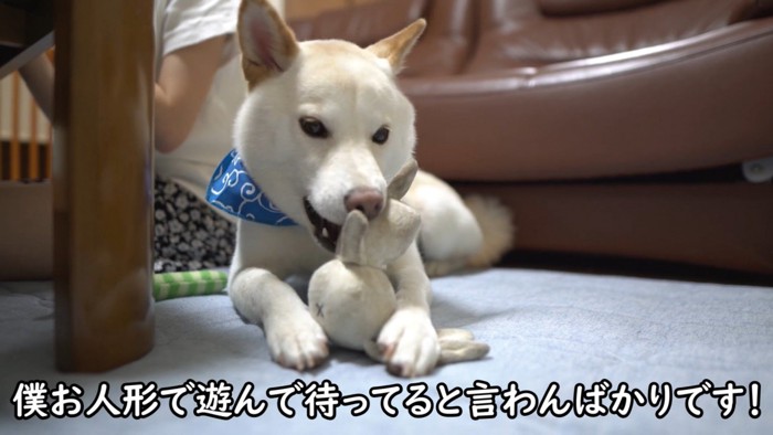 「遊びながらいい子で待ってるね!」