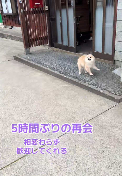 ますお君がお家の前でお出迎え♪
