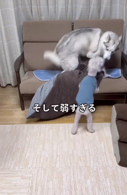あえなく敗退