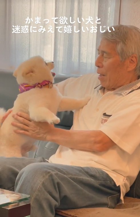 小型犬を抱き上げるおじいちゃん