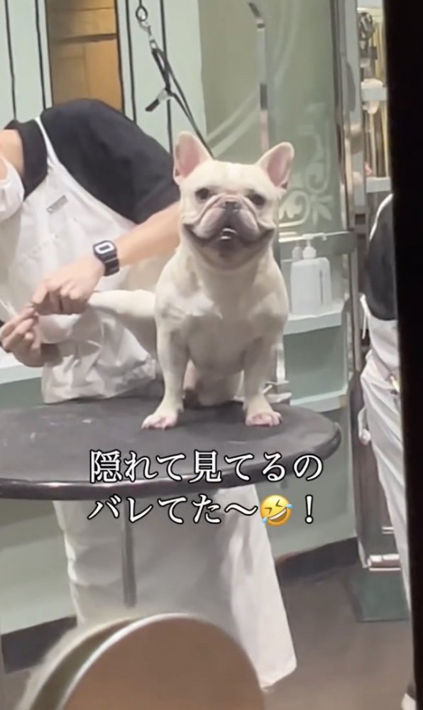 バレてた