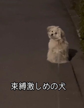 「あれはクロだよねえ…？」